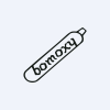 Bombay Oxygen Investments Ltd logo