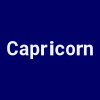 Capricorn Systems Global Solutions Ltd logo