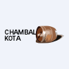 Chambal Breweries & Distilleries Ltd logo