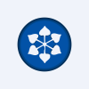 DCM Shriram Industries Ltd logo