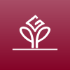 Dharani Finance Ltd logo