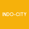 Indo-City Infotech Ltd logo