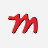 Munjal Auto Industries Ltd logo