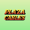 Plaza Wires Ltd logo