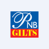 PNB Gilts Ltd logo