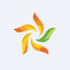 Ravindra Energy Ltd logo