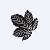 Seasons Textiles Ltd logo