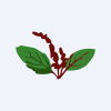 Tulasee Bio-Ethanol Ltd logo