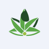 Planetree International Development Ltd logo