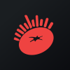 Star Shine Holding Ltd logo