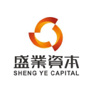 SY Holdings Group Ltd logo