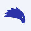 Shandong Extreme Vision Technology Co Ltd logo