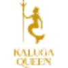 Hangzhou Qiandaohu Xunlong Sci-Tech Co Ltd logo