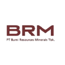 Bumi Resources Minerals logo