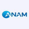 Anam Electronics Co Ltd logo