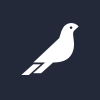 Blackfinch Spring VCT Plc logo