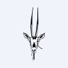 Oryx International Growth Fund Ltd logo