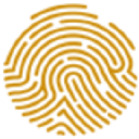 Pan African Resources Plc logo