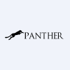 Panther Securities Plc logo