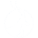 Antelope Enterprise Holdings Ltd logo