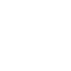 Arteris Inc logo