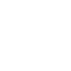 Bridgeline Digital Inc logo