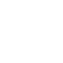 BioRestorative Therapies Inc logo