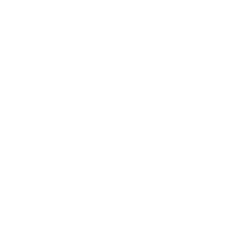 Bioventus Inc Cl A logo