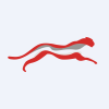 Cheetah Net Supply Chain Service Inc logo