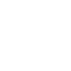 1stdibs.com Inc logo