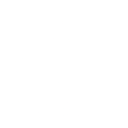 dLocal Ltd logo