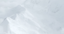 Denali Therapeutics Inc logo