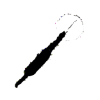 Duke Robotics Corp Wt logo