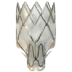 Pulmonx Corp logo