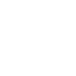 Neonode Inc logo