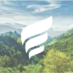 New Fortress Energy Inc logo