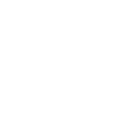 NetApp Inc logo