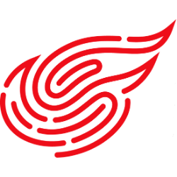 NetEase Inc ADR logo
