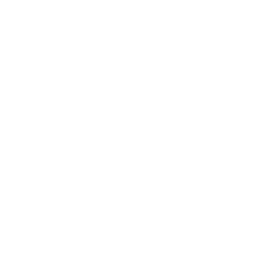 Phathom Pharmaceuticals Inc logo