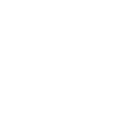 Outdoor Holding Co logo