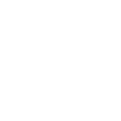 Rani Therapeutics Holdings Inc logo