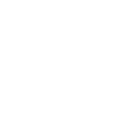 Rapid Micro Biosystems Inc logo
