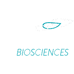 Spruce Biosciences Inc logo