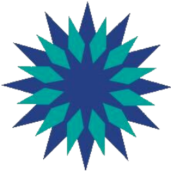 Universe Pharmaceuticals Inc logo