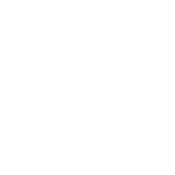 Twin Vee PowerCats Co logo