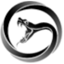 Viper Energy Inc logo