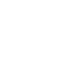 VirTra Inc logo