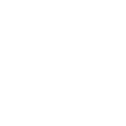 Vuzix Corp logo