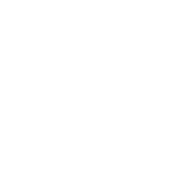 Zillow Group Inc Cl C logo