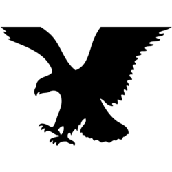 American Eagle Outfitters Inc logo